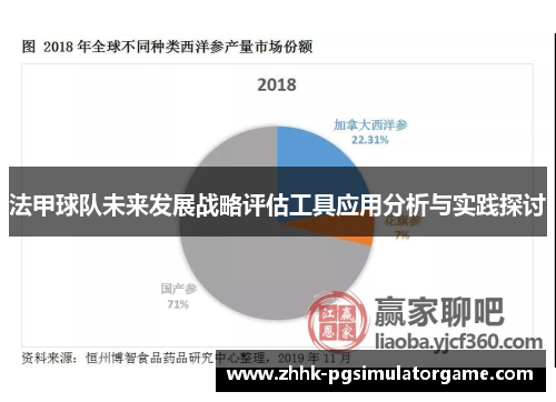 法甲球队未来发展战略评估工具应用分析与实践探讨