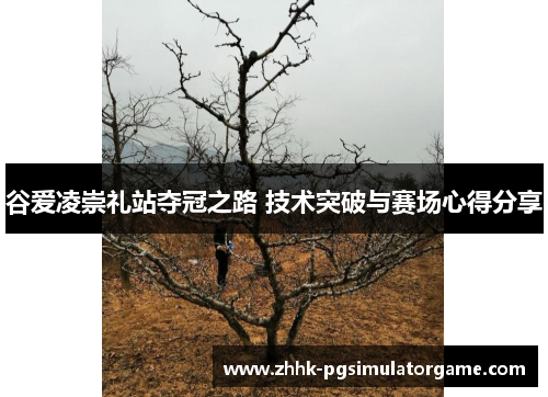 谷爱凌崇礼站夺冠之路 技术突破与赛场心得分享