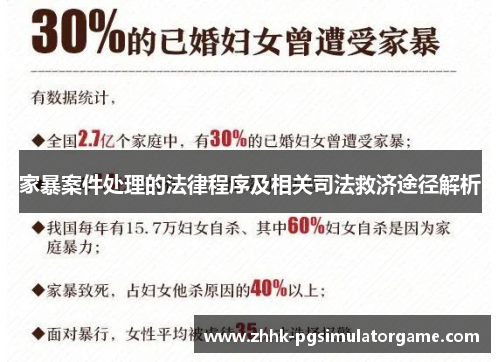 家暴案件处理的法律程序及相关司法救济途径解析