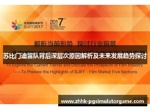 苏比门迪留队背后深层次原因解析及未来发展趋势探讨