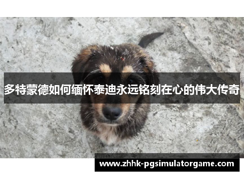 多特蒙德如何缅怀泰迪永远铭刻在心的伟大传奇