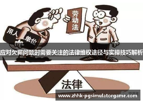 应对欠薪问题时需要关注的法律维权途径与实操技巧解析