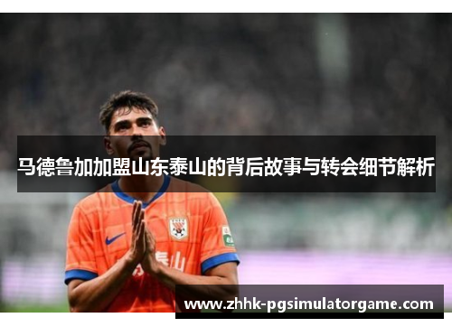 马德鲁加加盟山东泰山的背后故事与转会细节解析