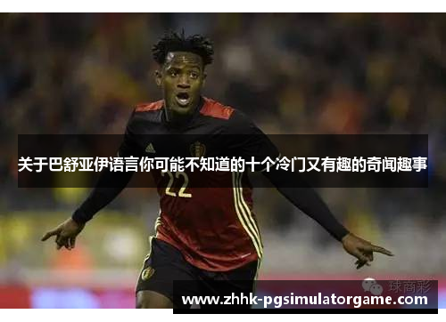 关于巴舒亚伊语言你可能不知道的十个冷门又有趣的奇闻趣事