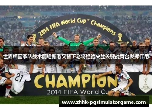 世界杯国家队战术前瞻新老交替下老将经验决胜关键战舞台发挥作用