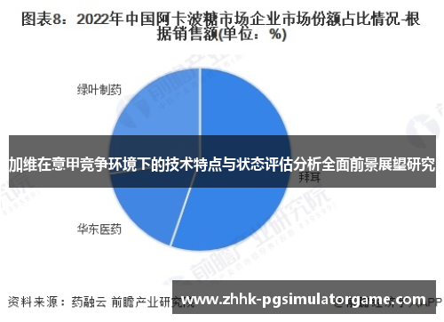 加维在意甲竞争环境下的技术特点与状态评估分析全面前景展望研究
