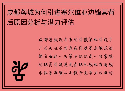 成都蓉城为何引进塞尔维亚边锋其背后原因分析与潜力评估